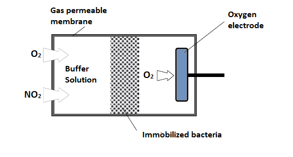 The Principles Of Microbial Biosensors